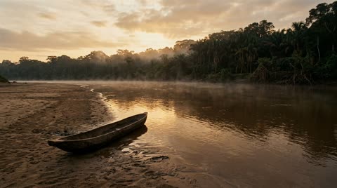 Congo River Bank