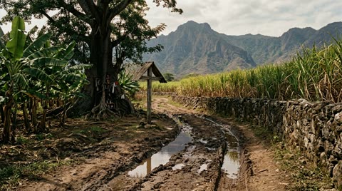 Colonial cane road