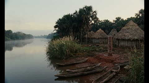 Congo River bank, West Central Africa