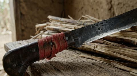 Cane machete